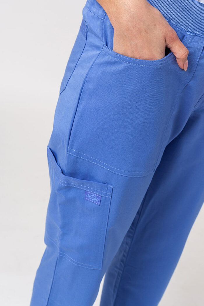 Dickies balance naiste püksid - Image 16